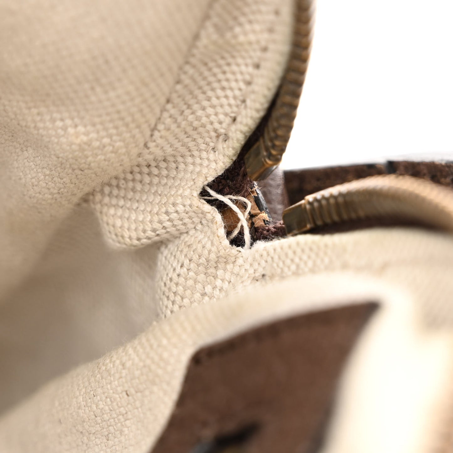 GG Supreme Monogram Web Small Ophidia Messenger Bag Brown