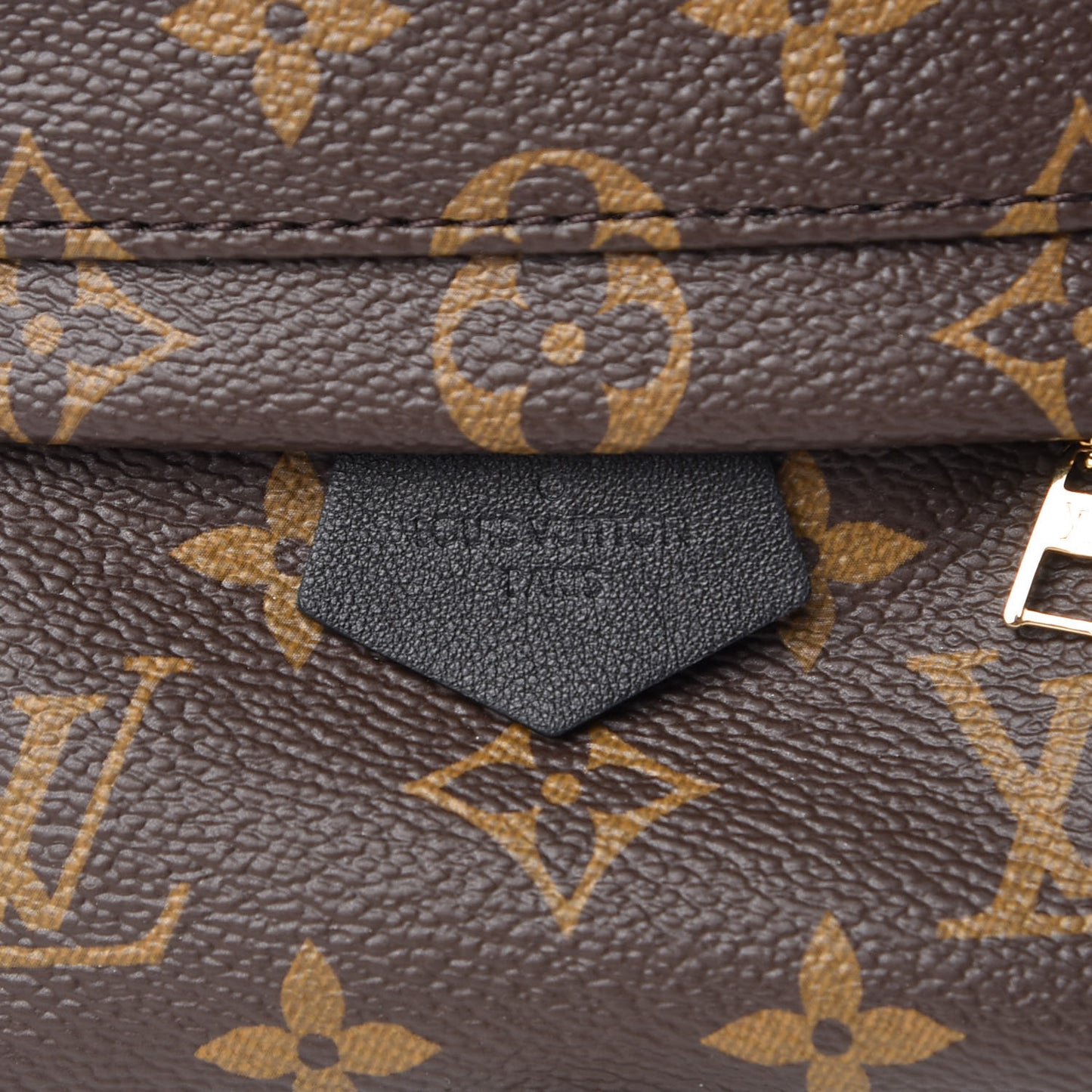 Monogram Palm Springs Backpack Mini