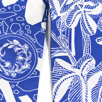 Hermes Silk La Danse Des Amazone Twilly Bleu Moyen White 4 of 4