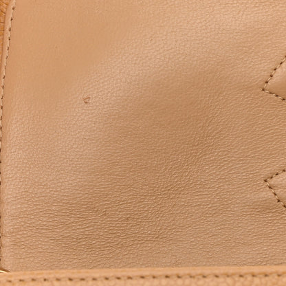 Chanel Caviar Quilted Medium Double Flap Beige 14 of 14