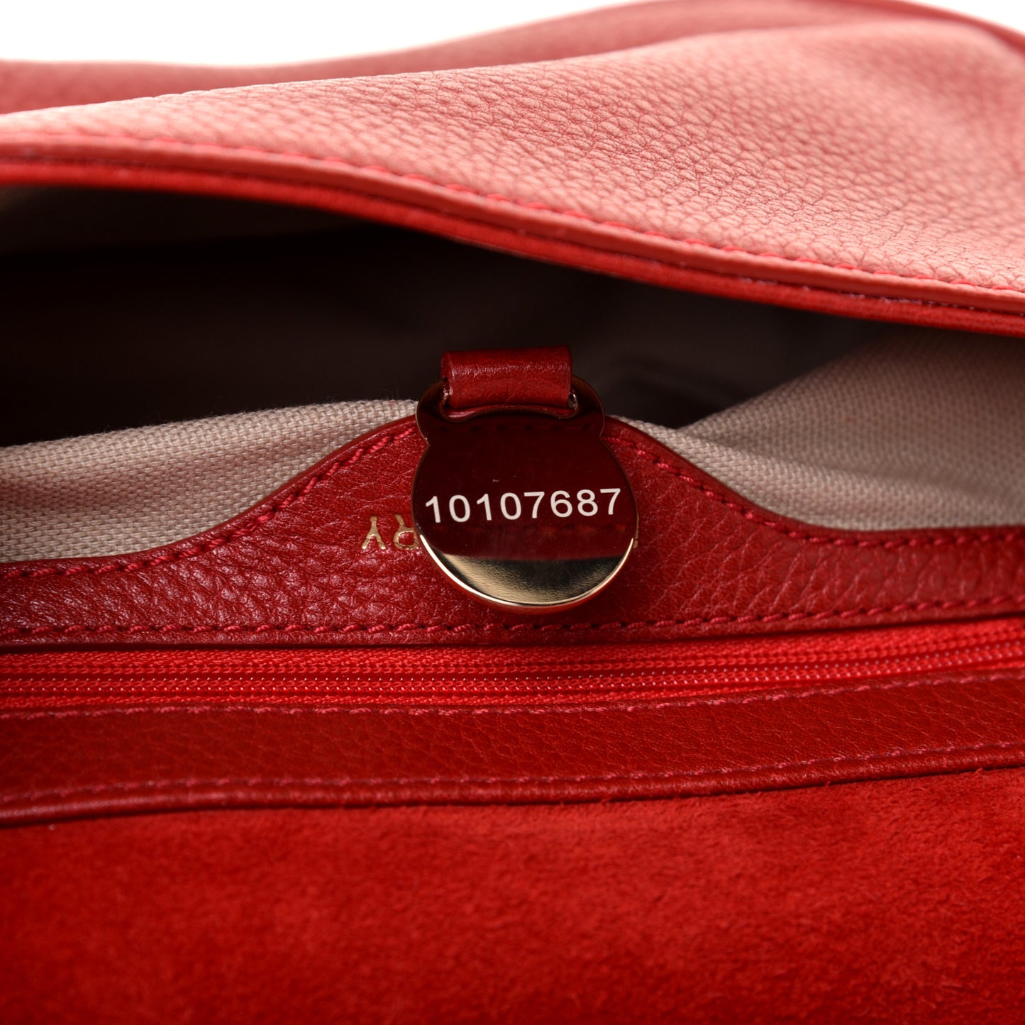 Soft Small Grain Small Tessie Satchel Scarlet