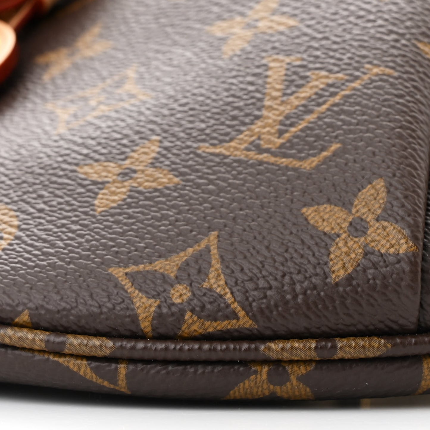 Monogram High Rise Bumbag