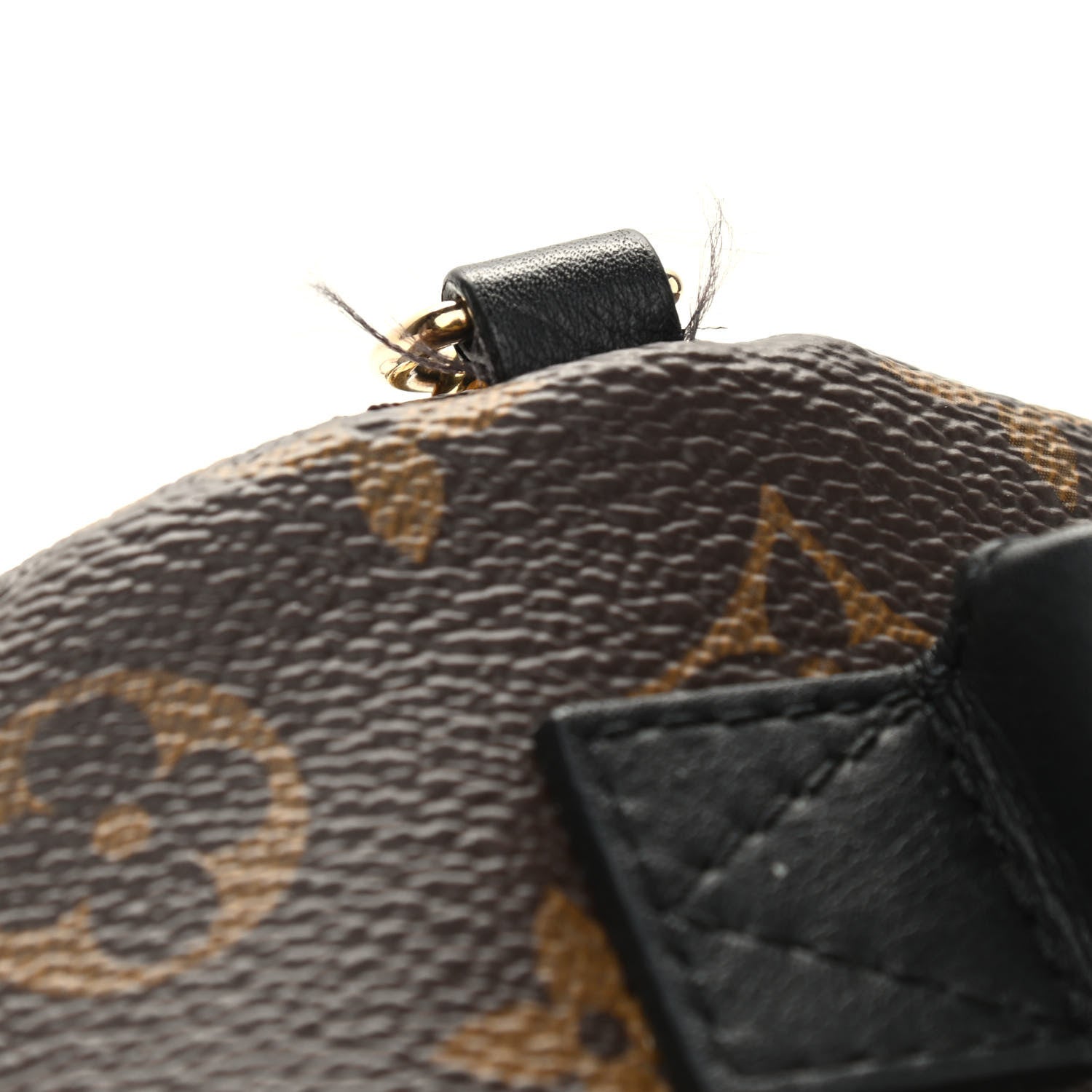 Louis Vuitton Monogram Palm Springs Backpack Mini 10 of 10