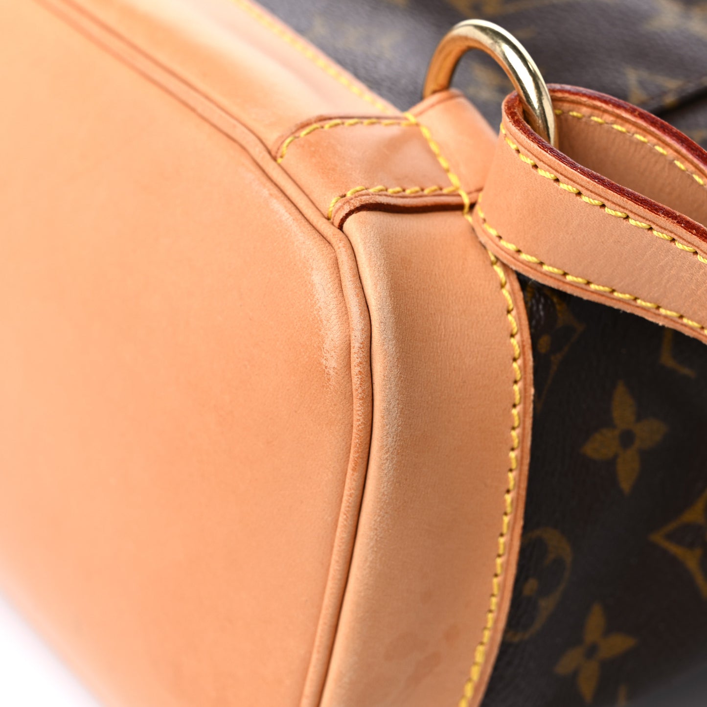 Monogram Montsouris GM Backpack