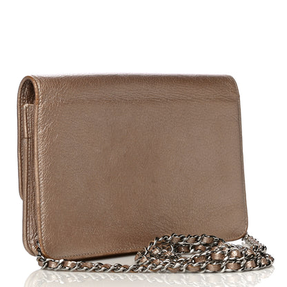Chanel Metallic Goatskin Wallet On Chain WOC Gold 2 of 19
