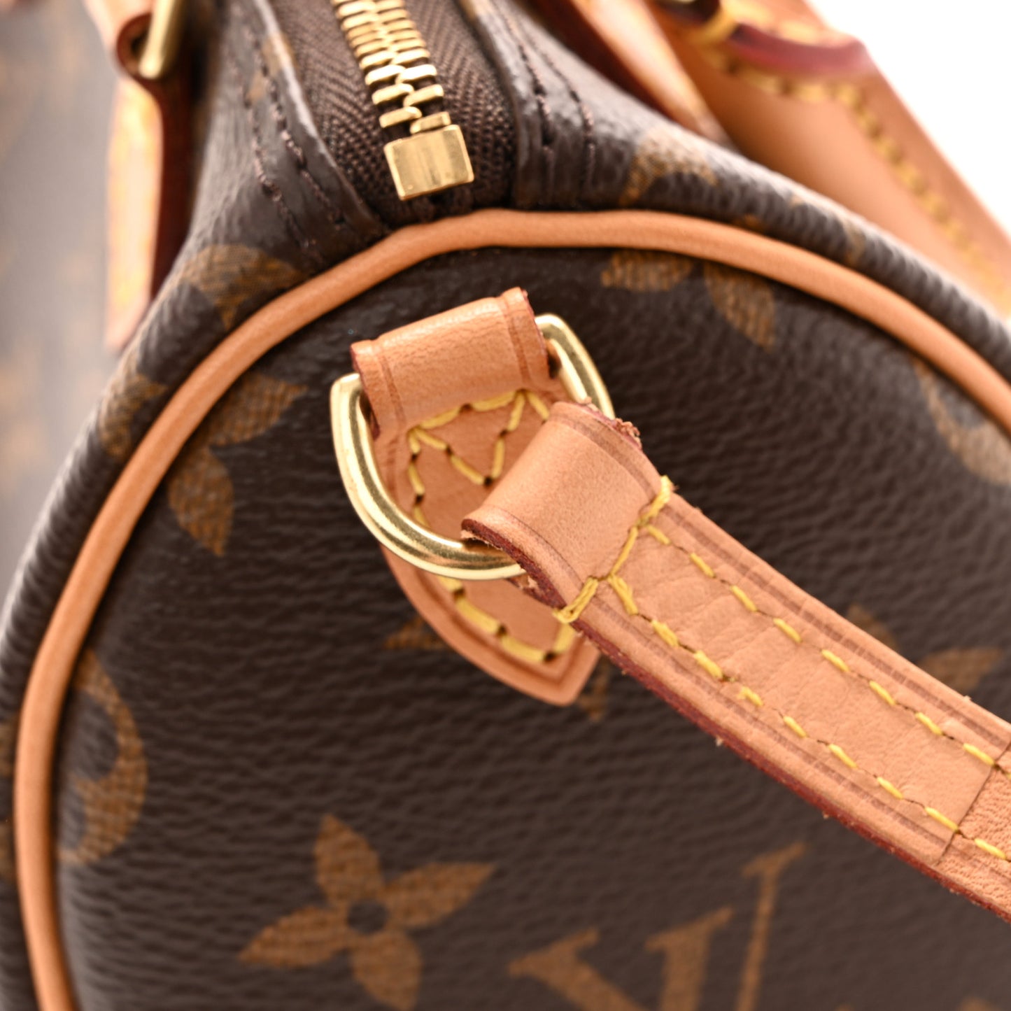 Monogram Nano Speedy