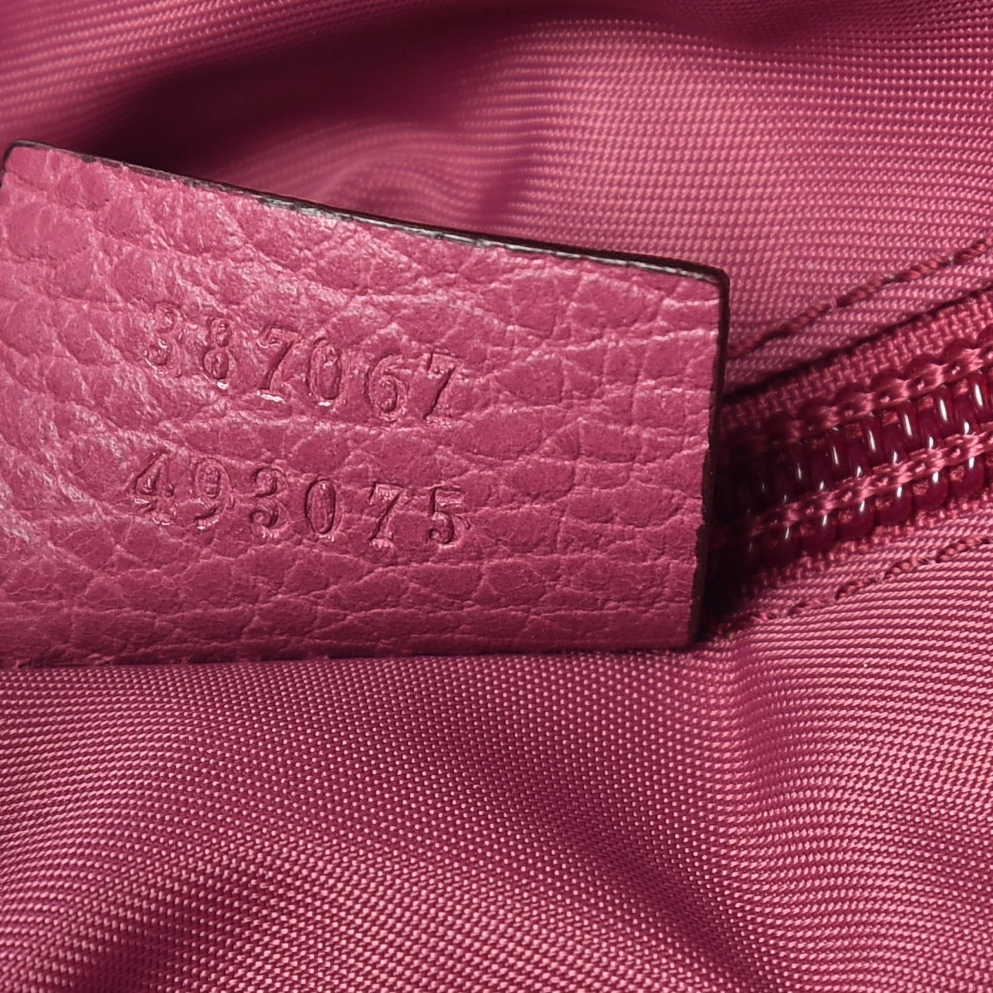 Nylon Monogram Dollar Calfskin Tote Peonia Flower