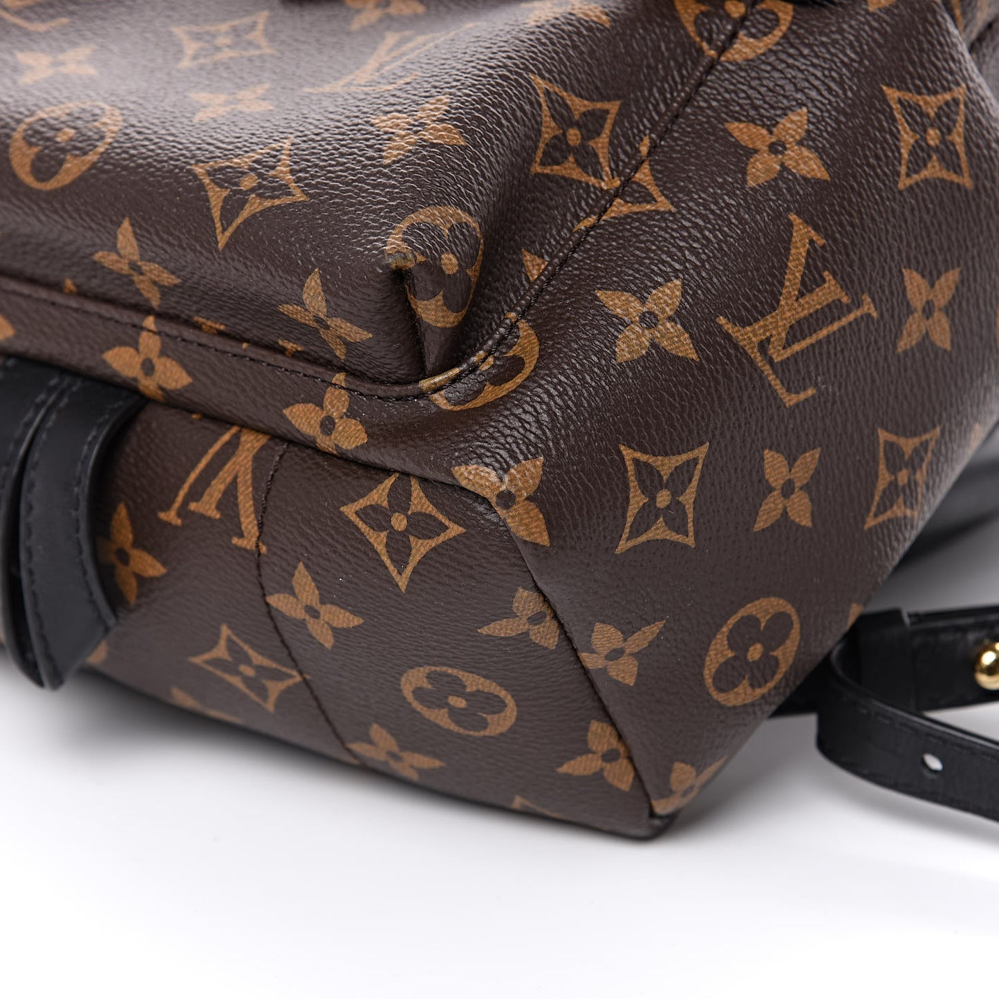 Monogram Palm Springs Backpack PM