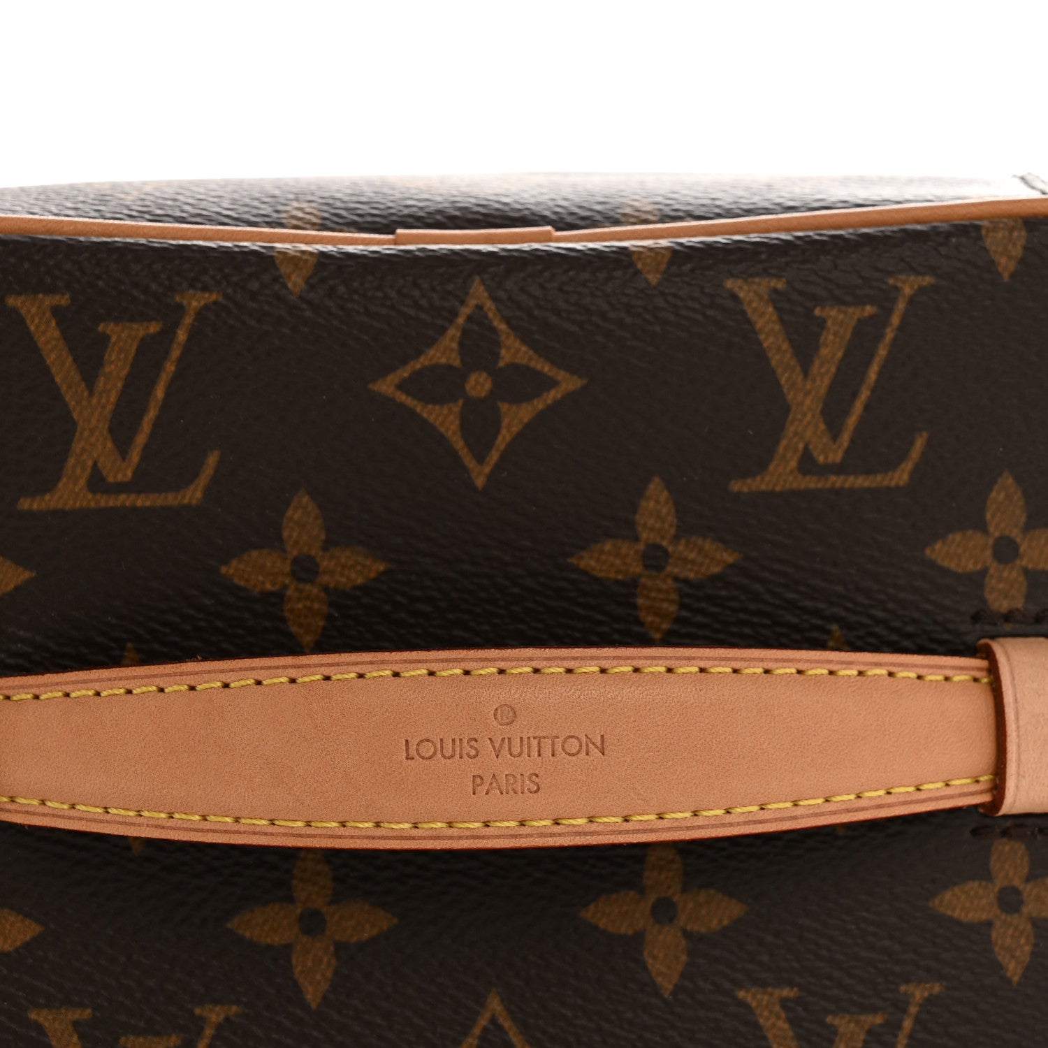 Louis Vuitton Monogram Nice Mini 11 of 12