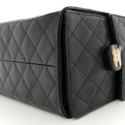 Chanel Caviar Quilted Medium Chanel 25 Handbag Black 11 of 11