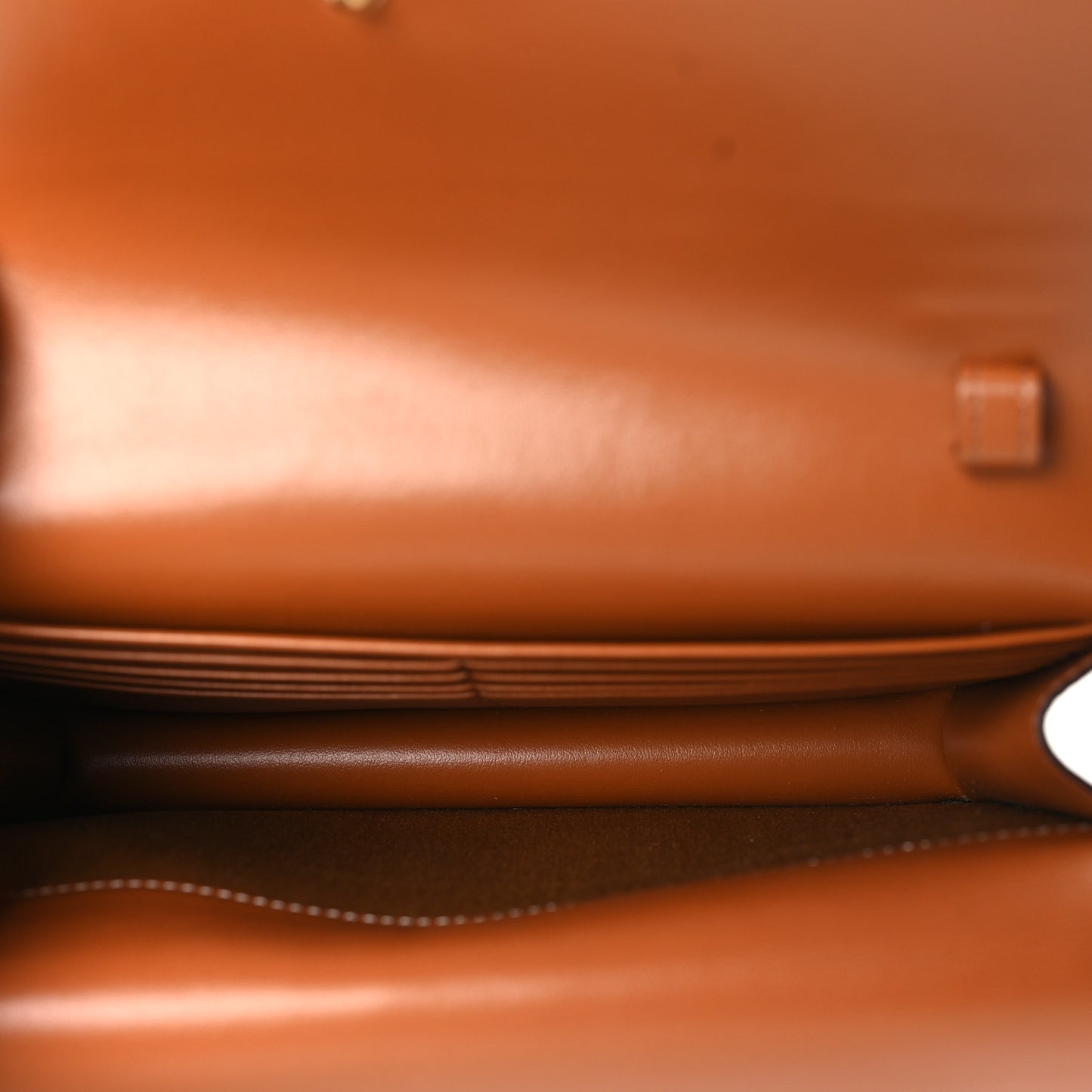 Triomphe Canvas Lambskin Wallet On Strap Tan