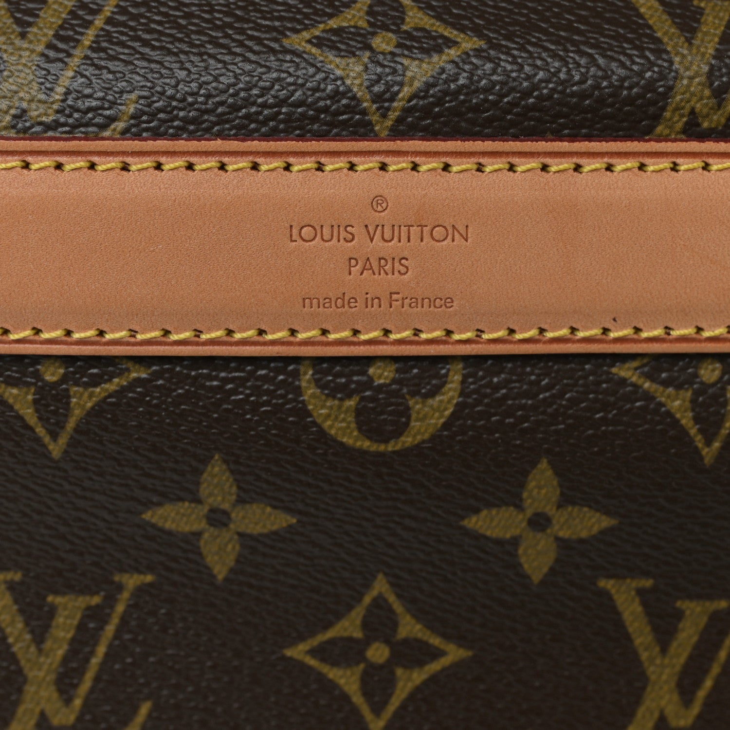 Louis Vuitton Monogram Sac Chien 50 Pet Carrier 6 of 11