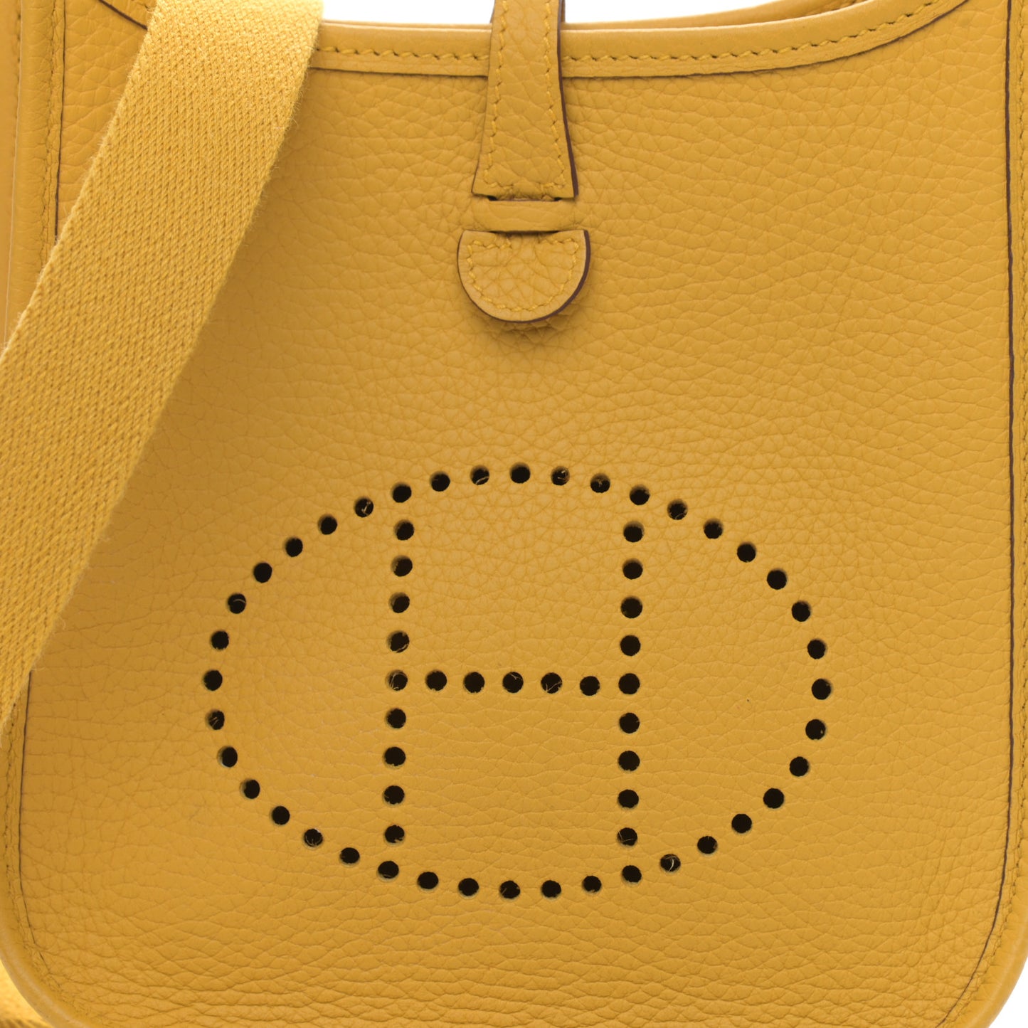Taurillon Clemence Evelyne TPM Jaune Ambre
