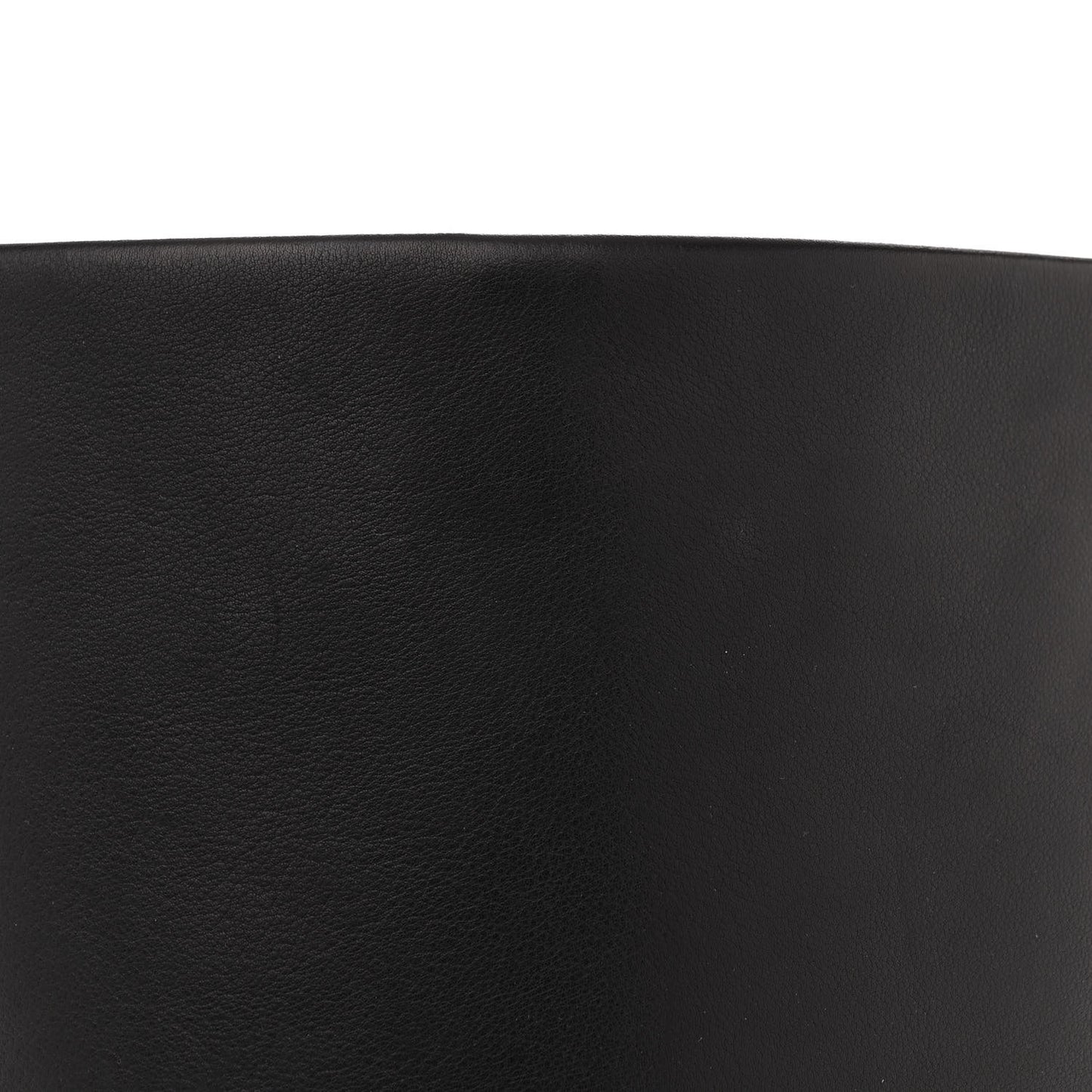 Polished Saddle Calfskin Medium N/S Park Belt Bag Black