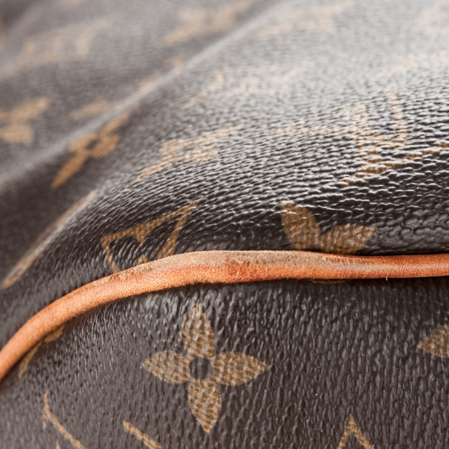 Monogram Delightful MM