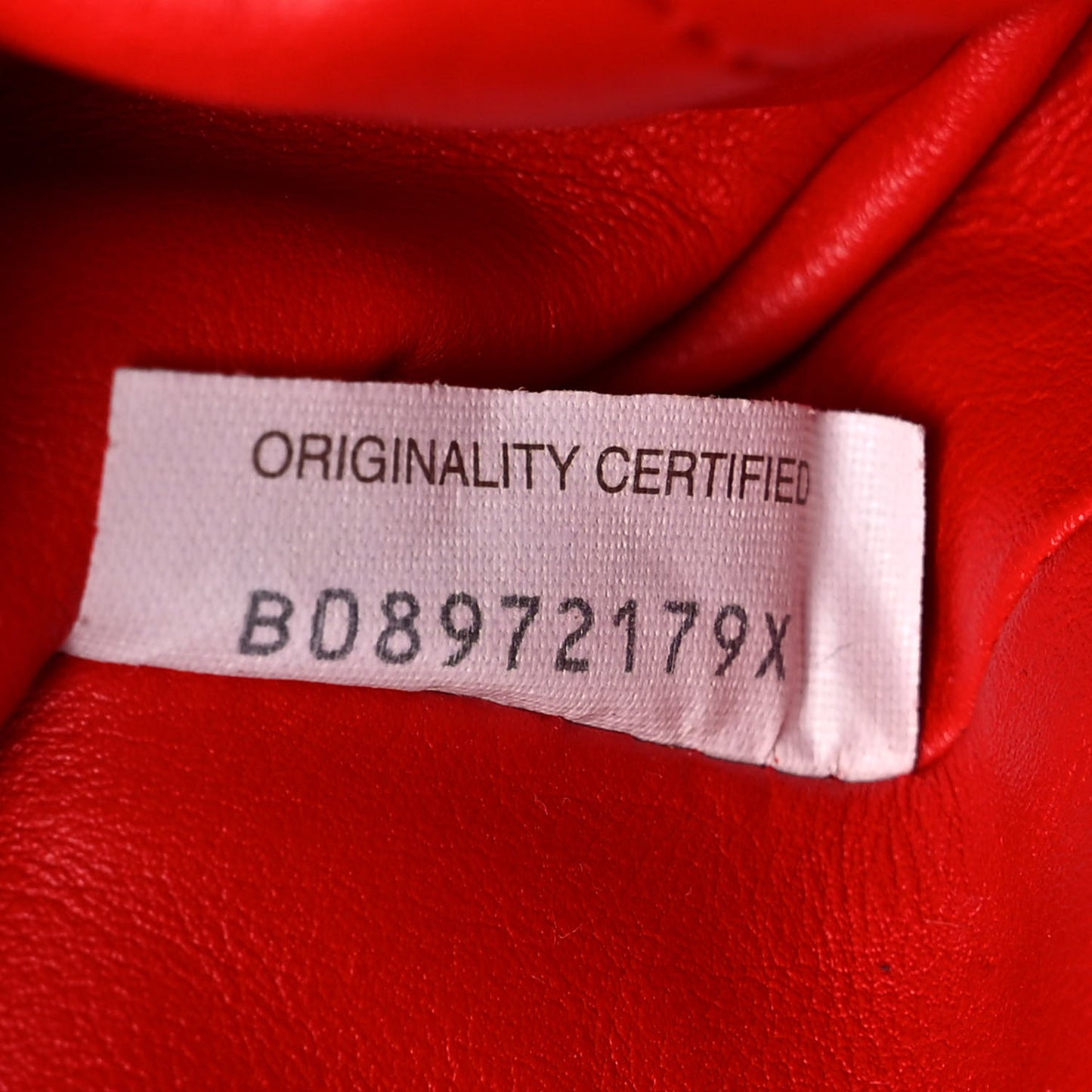 Butter Calfskin The Mini Pouch Red