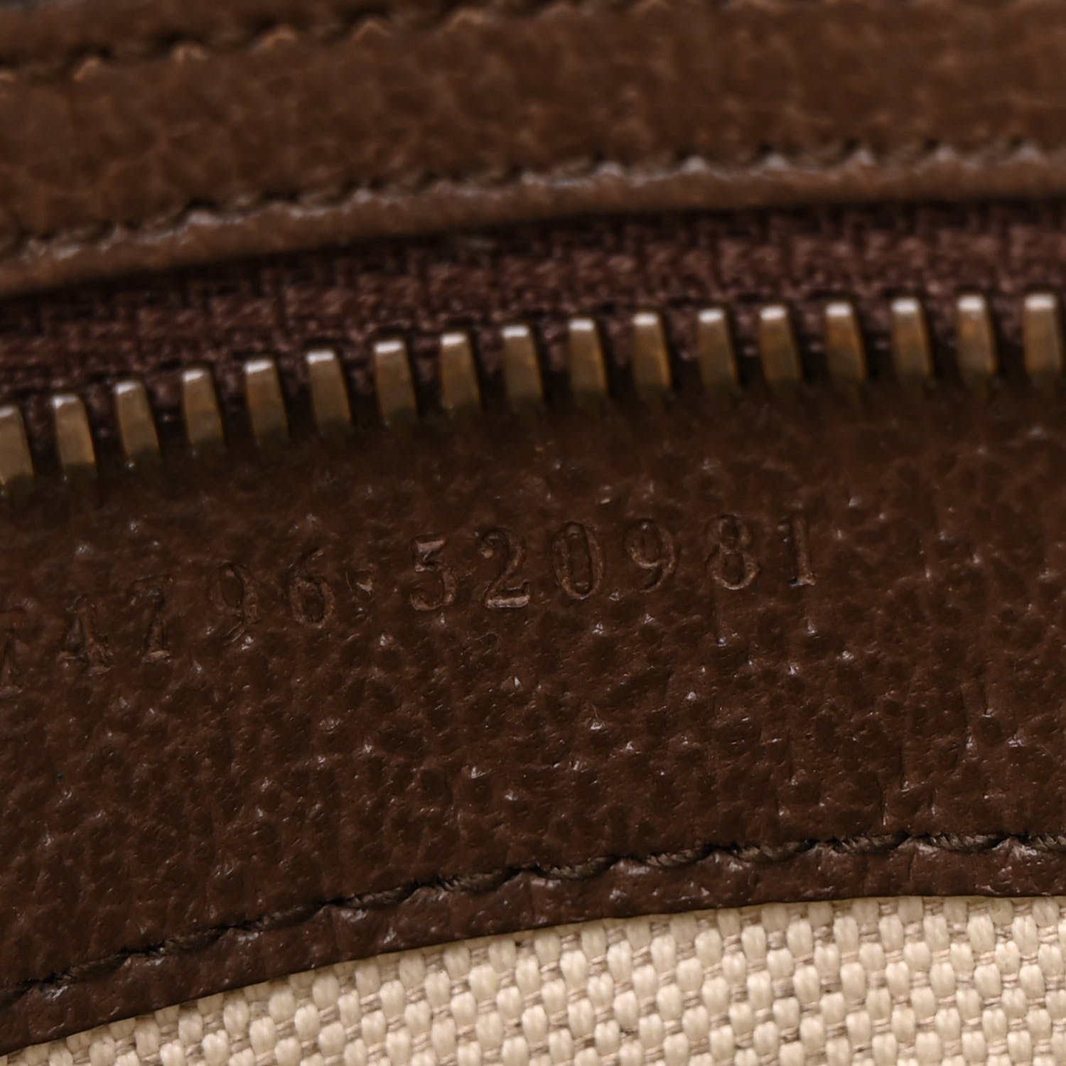 Gucci Soft GG Supreme Monogram Medium Ophidia Belt Bag Dark Brown 7 of 13