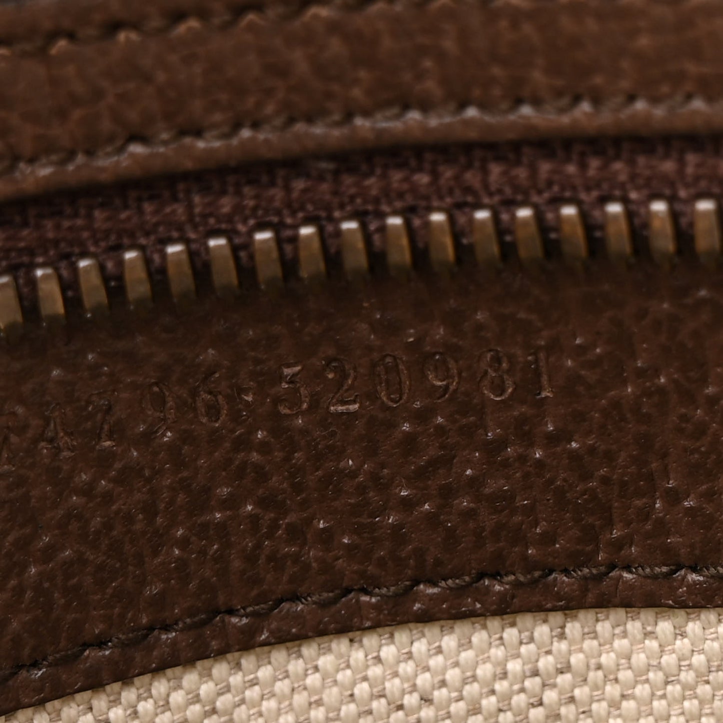 Soft GG Supreme Monogram Medium Ophidia Belt Bag Dark Brown
