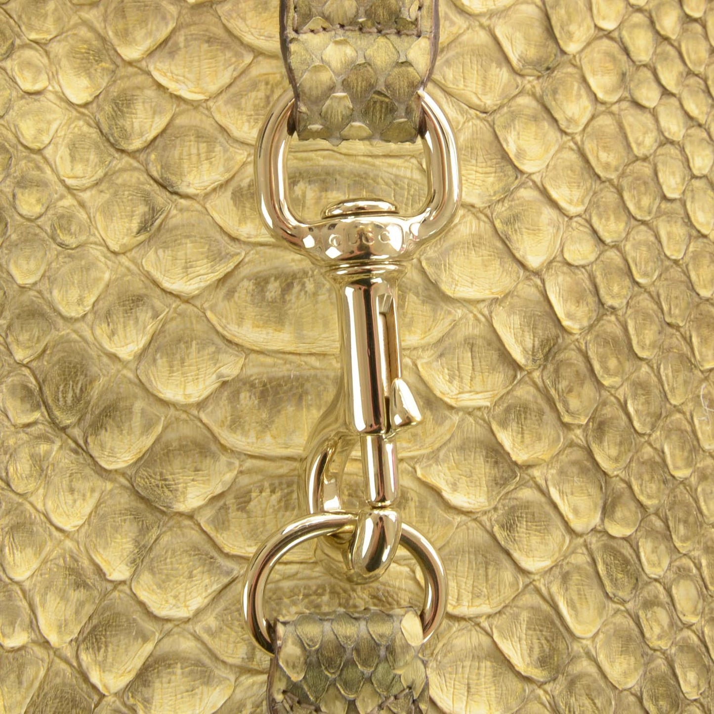 Python Bouvier Hobo