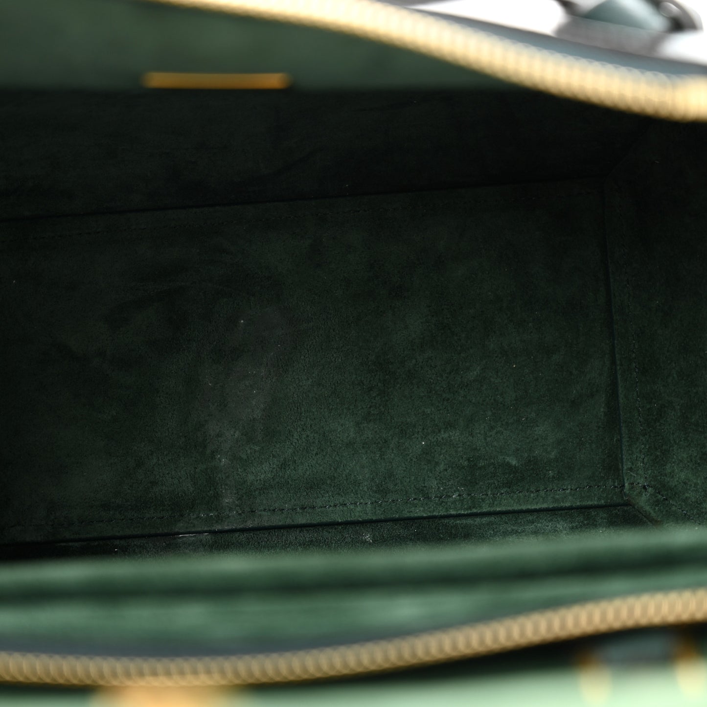Grained Calfskin Micro Belt Bag Amazone