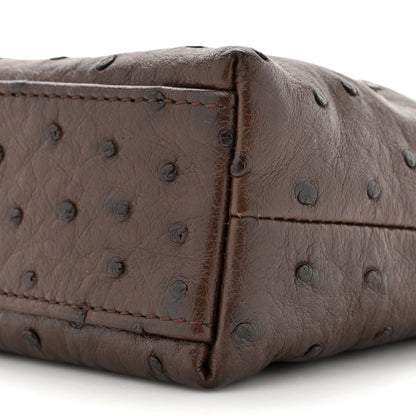 Loro Piana Ostrich L19 Extra Pocket Pouch 9 of 11