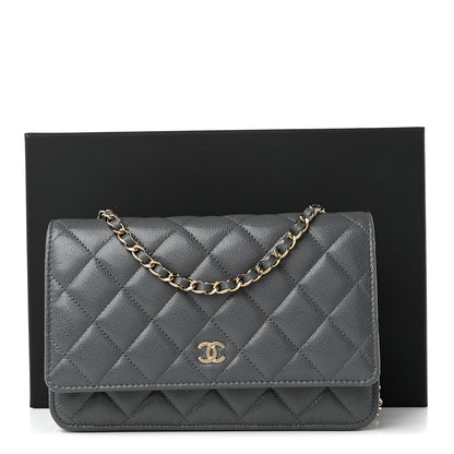 Chanel Caviar Quilted Wallet on Chain WOC Grey 11 of 11