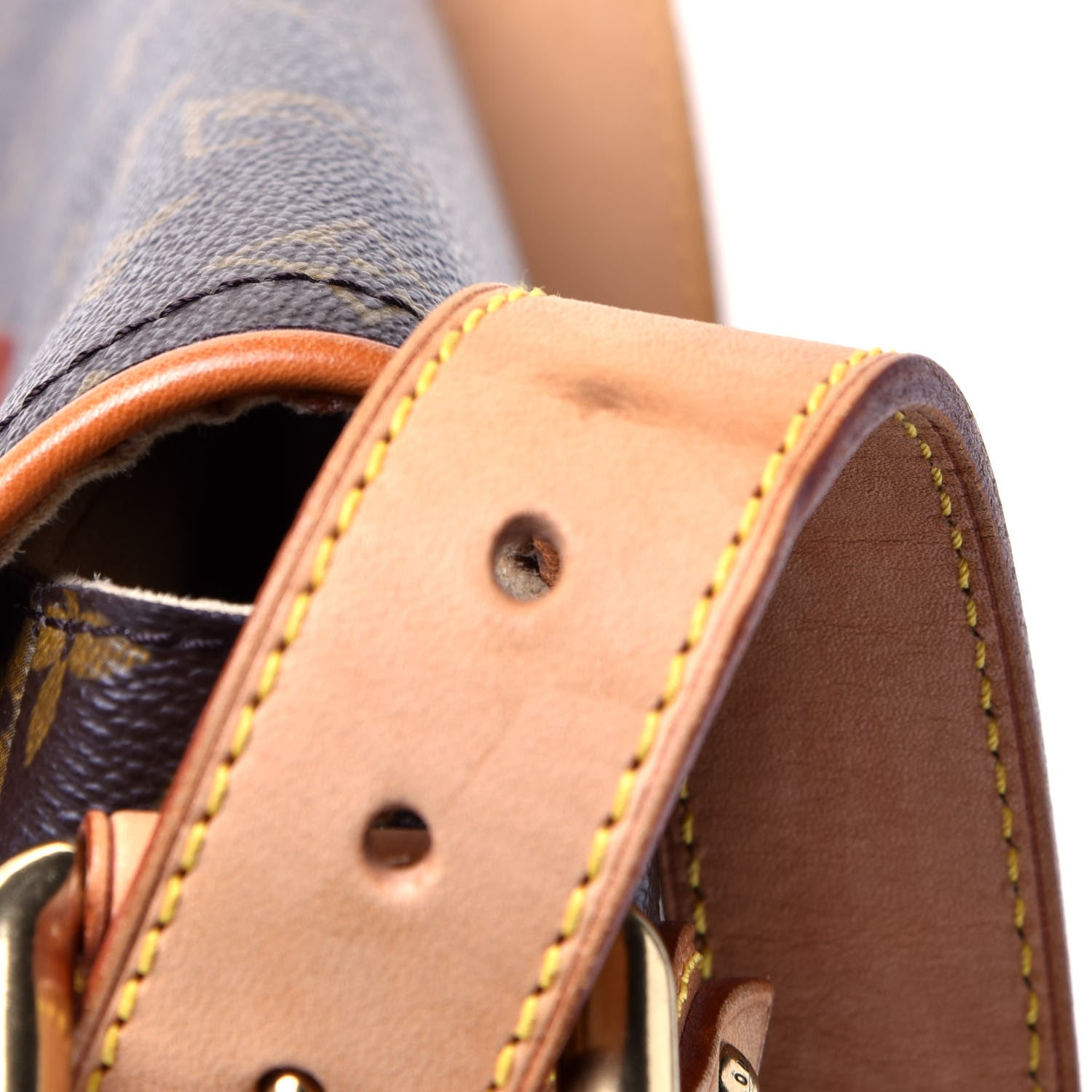 Louis Vuitton Monogram Hudson PM 4 of 5