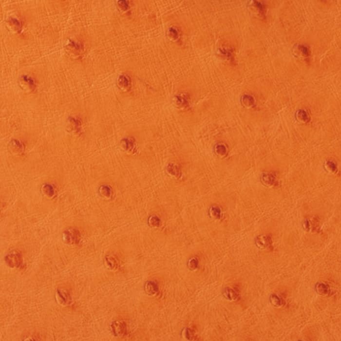 swatch of Hermes orange in ostrich FASHIONPHILE