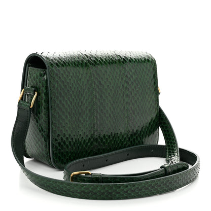 Celine Watersnake Teen Triomphe Green 3 of 11