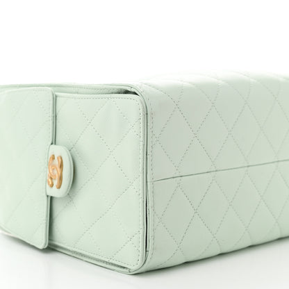 Chanel Caviar Quilted Small Chanel 25 Handbag Light Green 9 of 10
