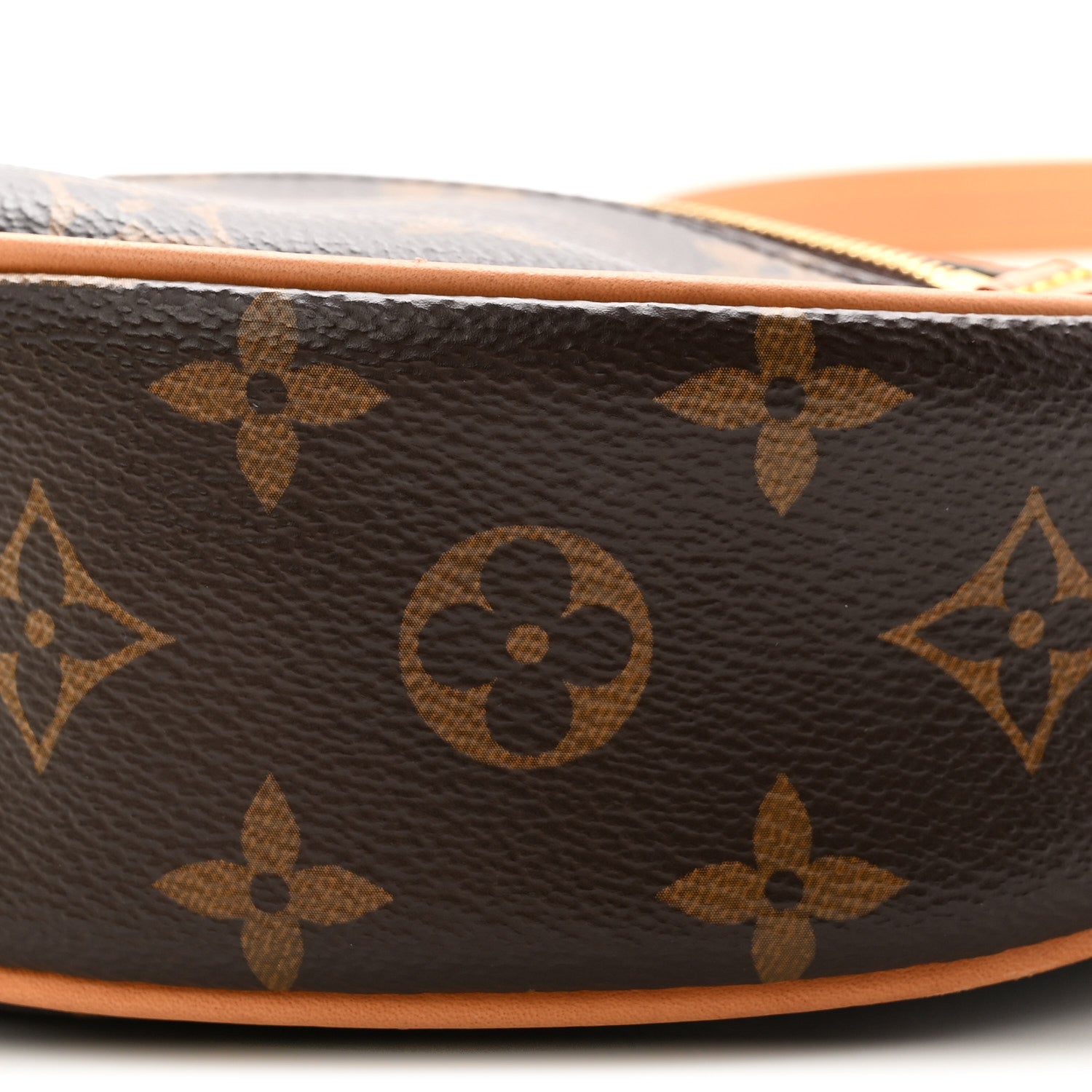 Louis Vuitton Monogram Loop 10 of 10