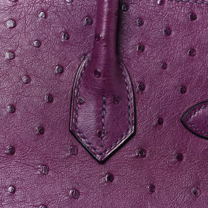 Hermes Ostrich Birkin 30 Violine 11 of 31