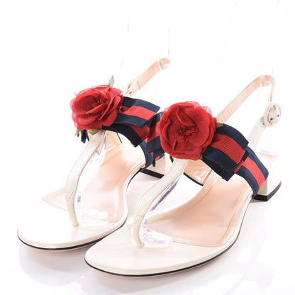 Gucci Calfskin Web Cindi Rose T-Strap Thong Sandals 40 White 2 of 8
