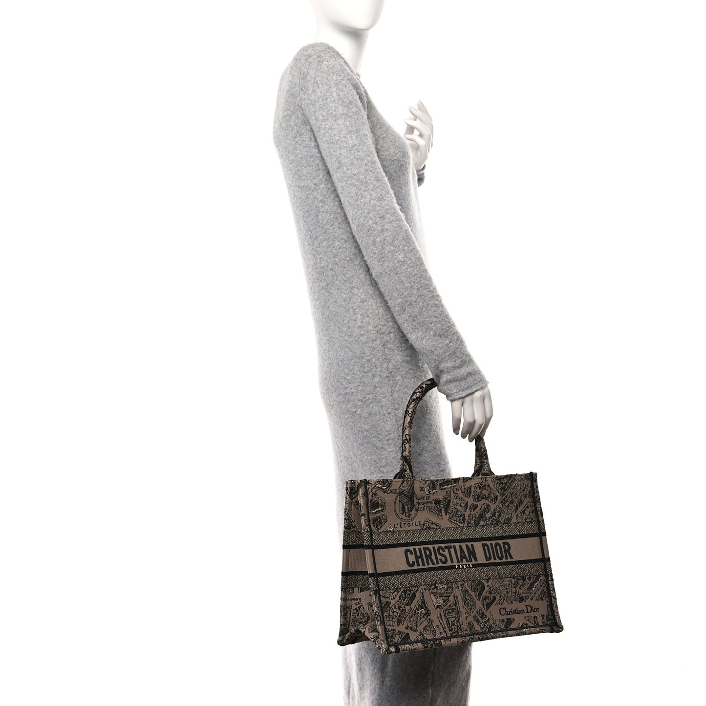 Canvas Embroidered Medium Plan De Paris Book Tote Beige Multi