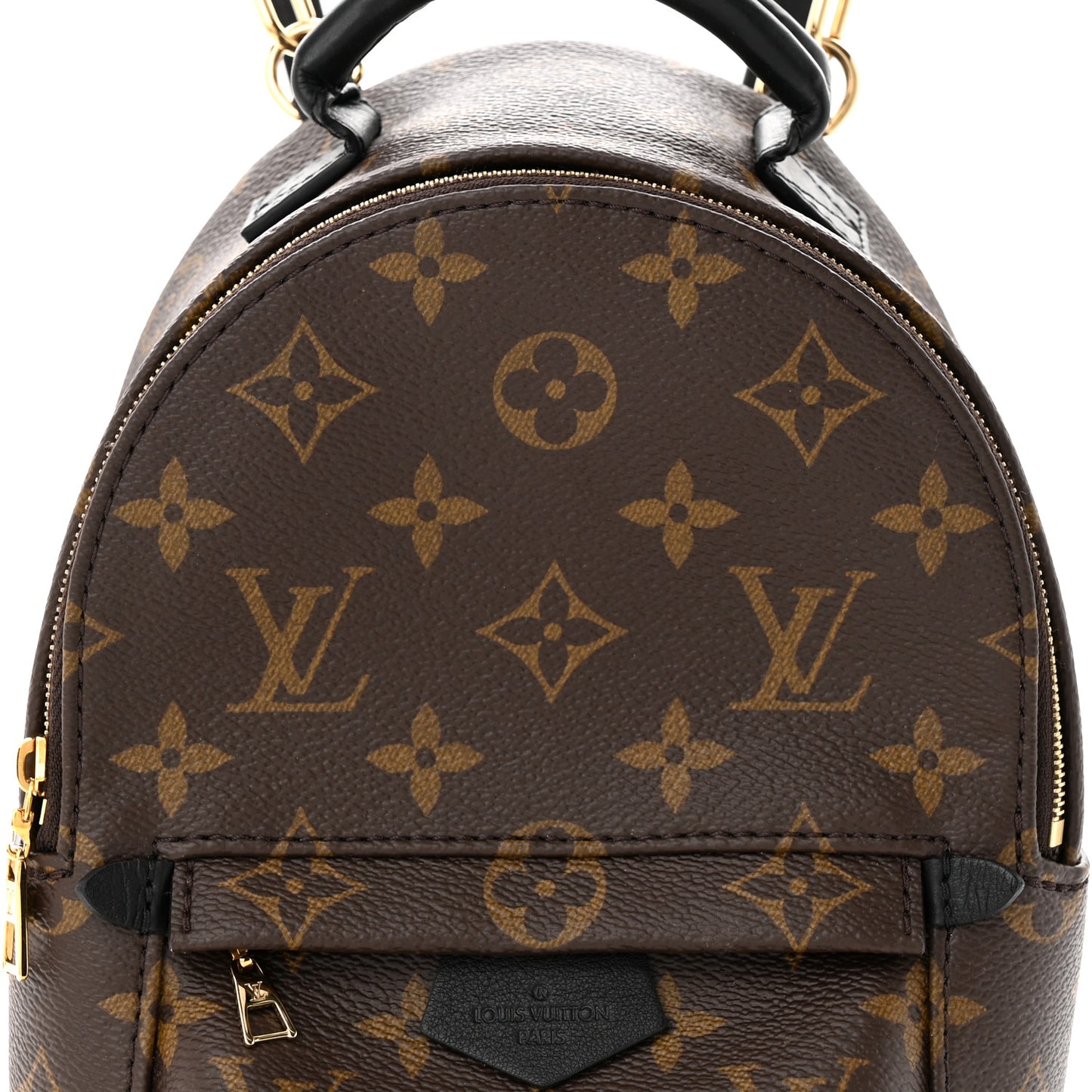 Monogram Palm Springs Backpack Mini