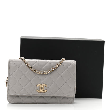Chanel Caviar Quilted Studded CC Wallet On Chain WOC Grey 12 of 12