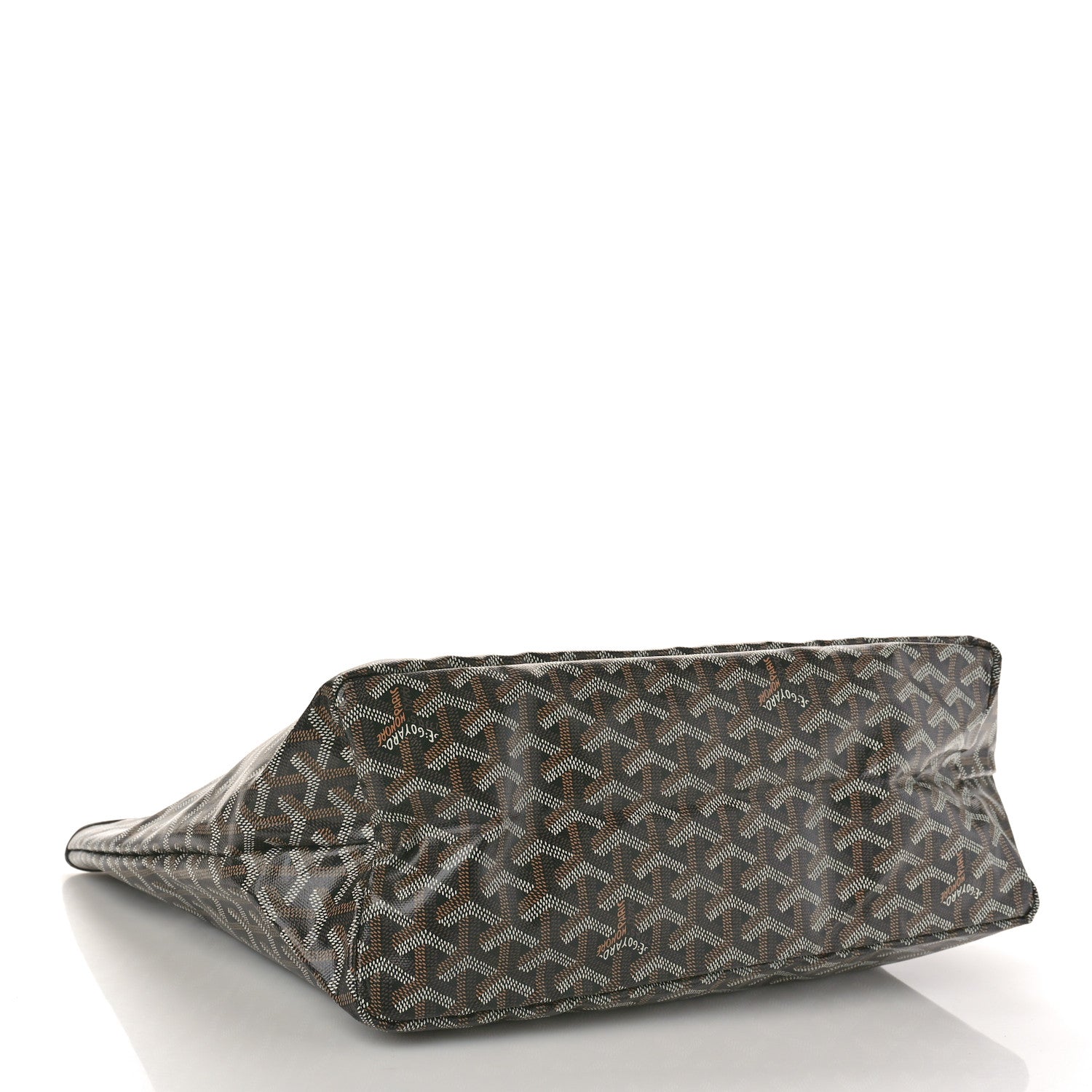 Goyard Goyardine Saint Louis PM Black 5 of 10