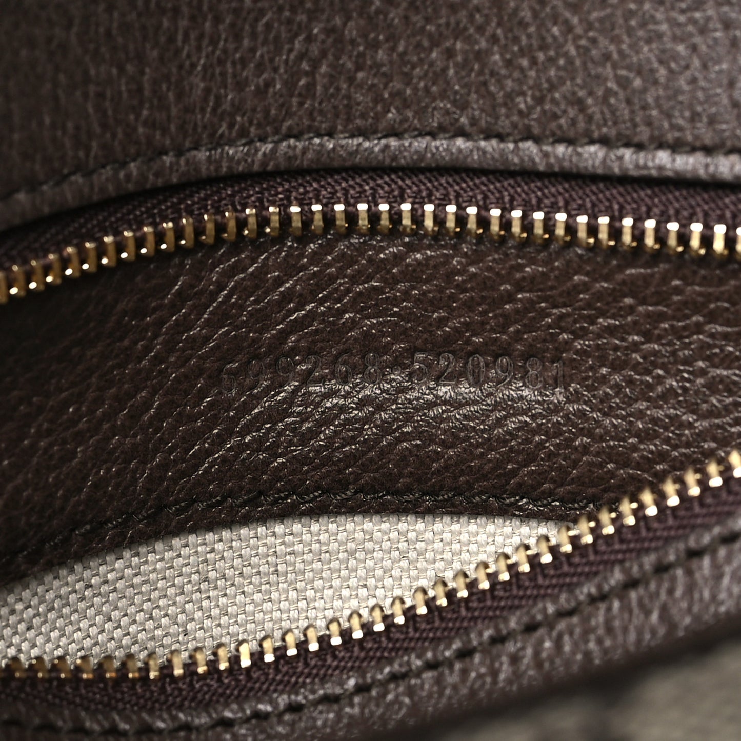 GG Supreme Monogram Textured Dollar Calfskin Blondie Chain Shoulder Flap Bag Beige Ebony New Acero