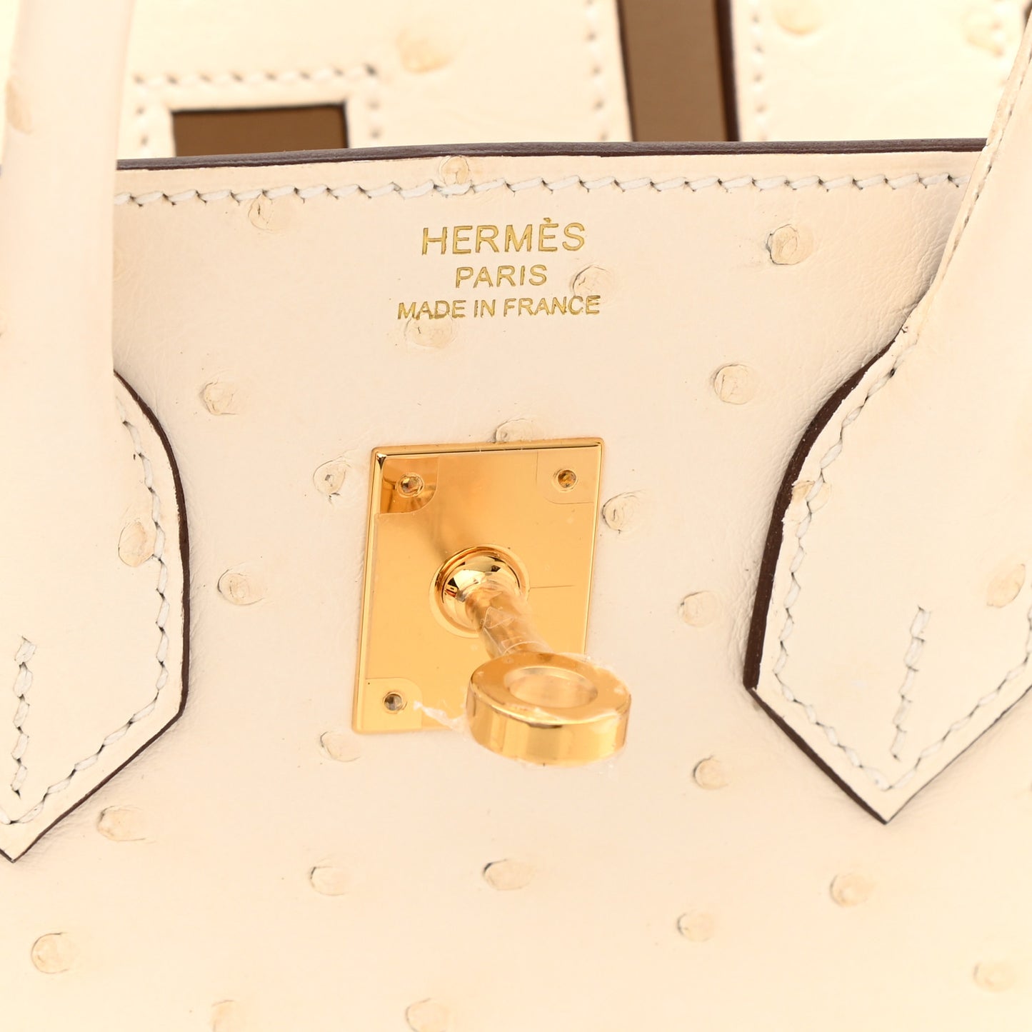 Ostrich Birkin 25 Nata