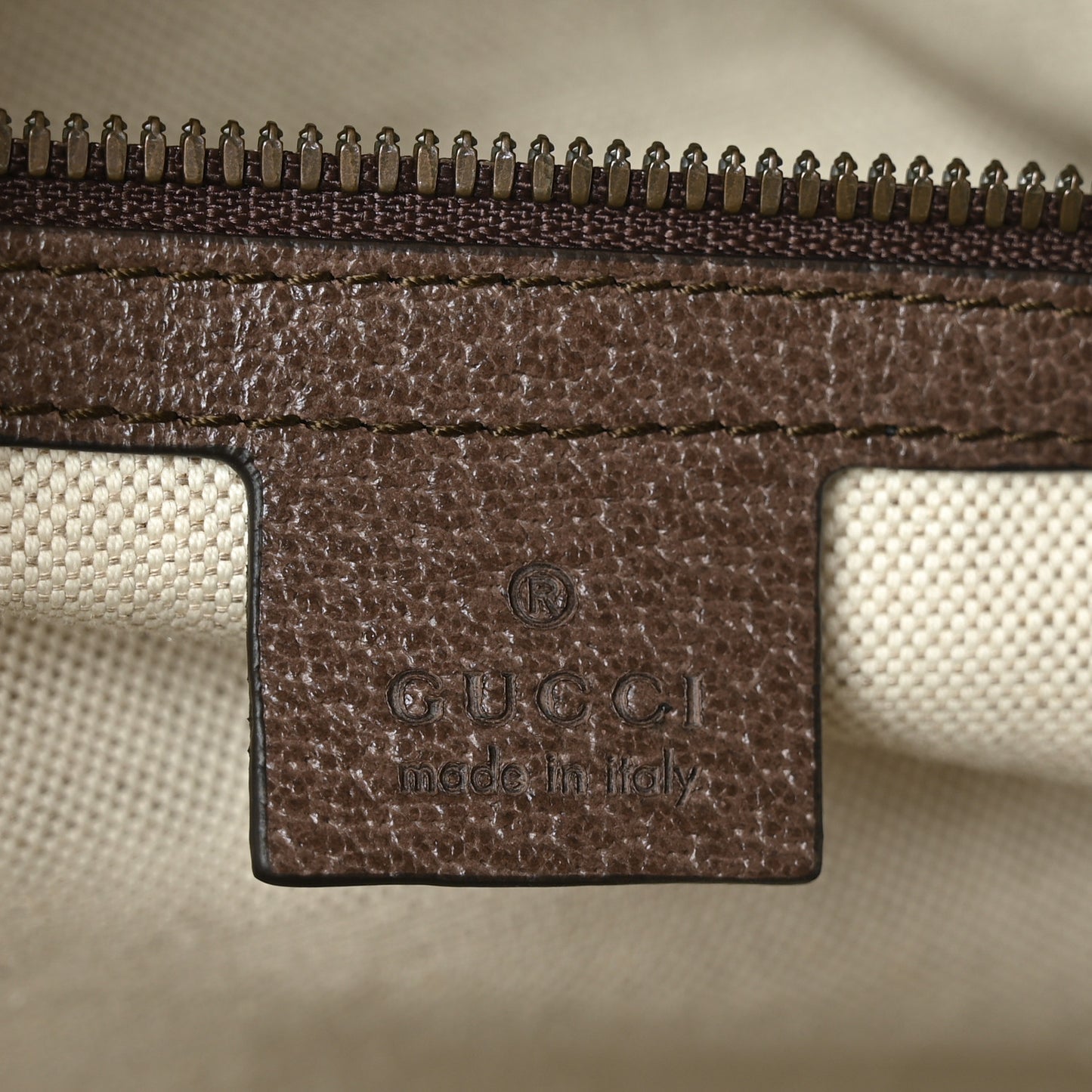 GG Supreme Monogram Medium Ophidia Day Backpack Brown