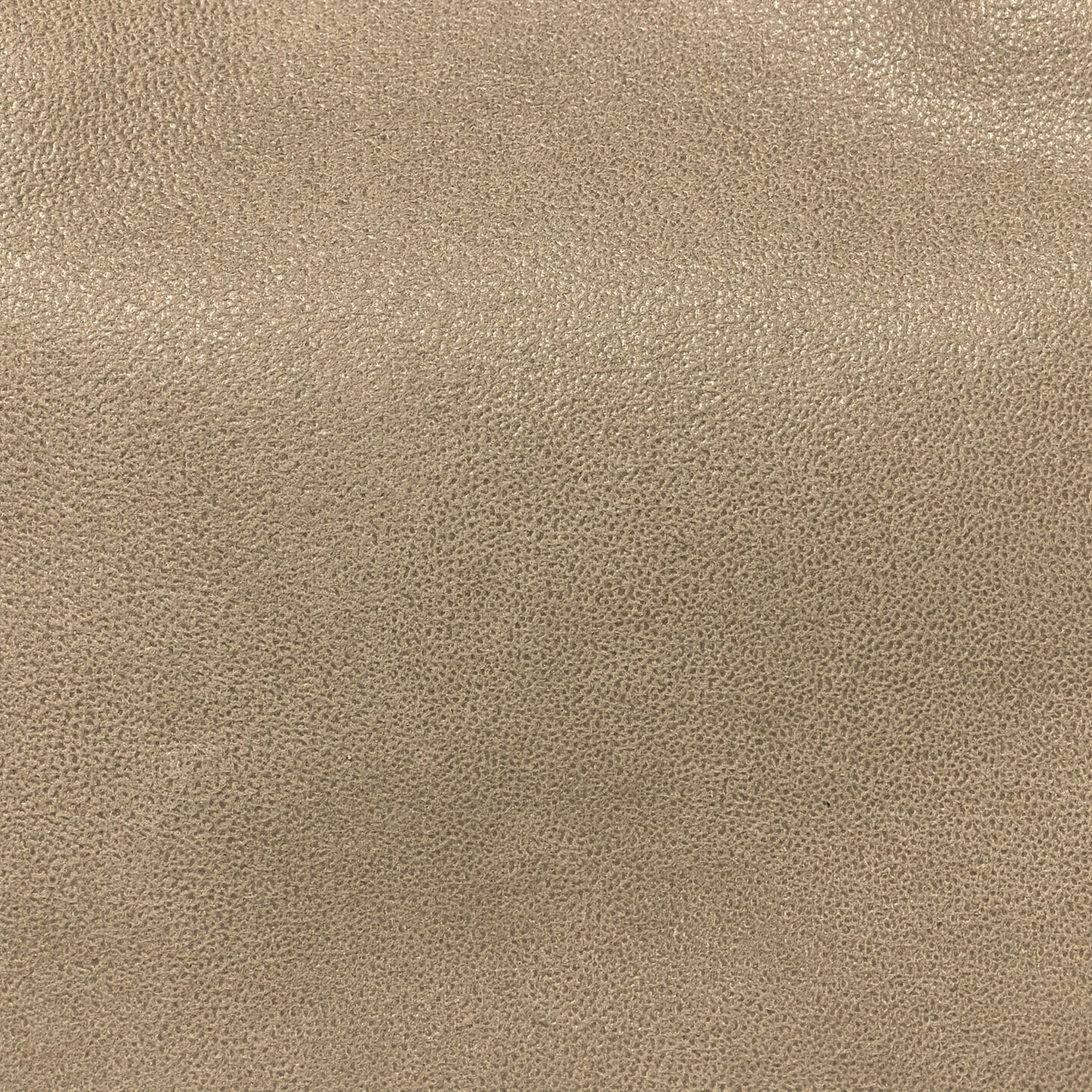 Shaggy Deer Small Falabella East West Tote Beige