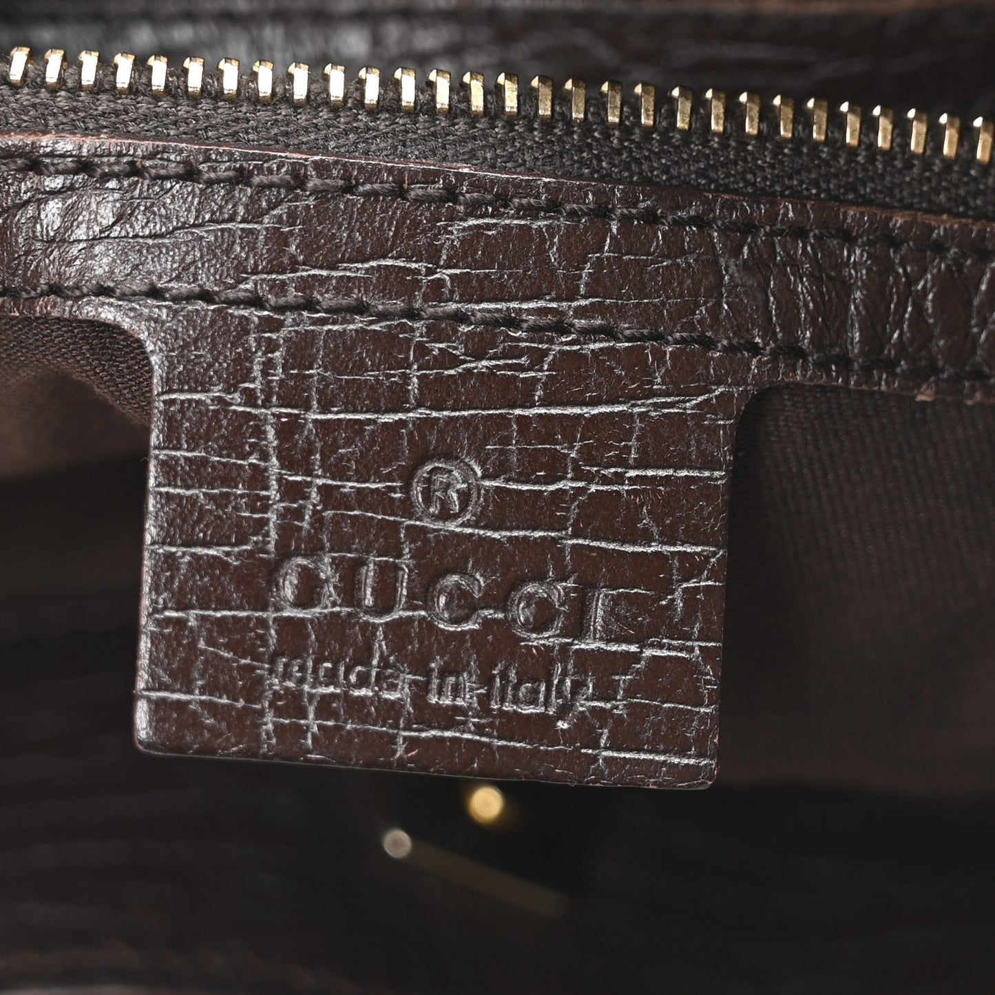Monogram Hasler Hobo Dark Brown