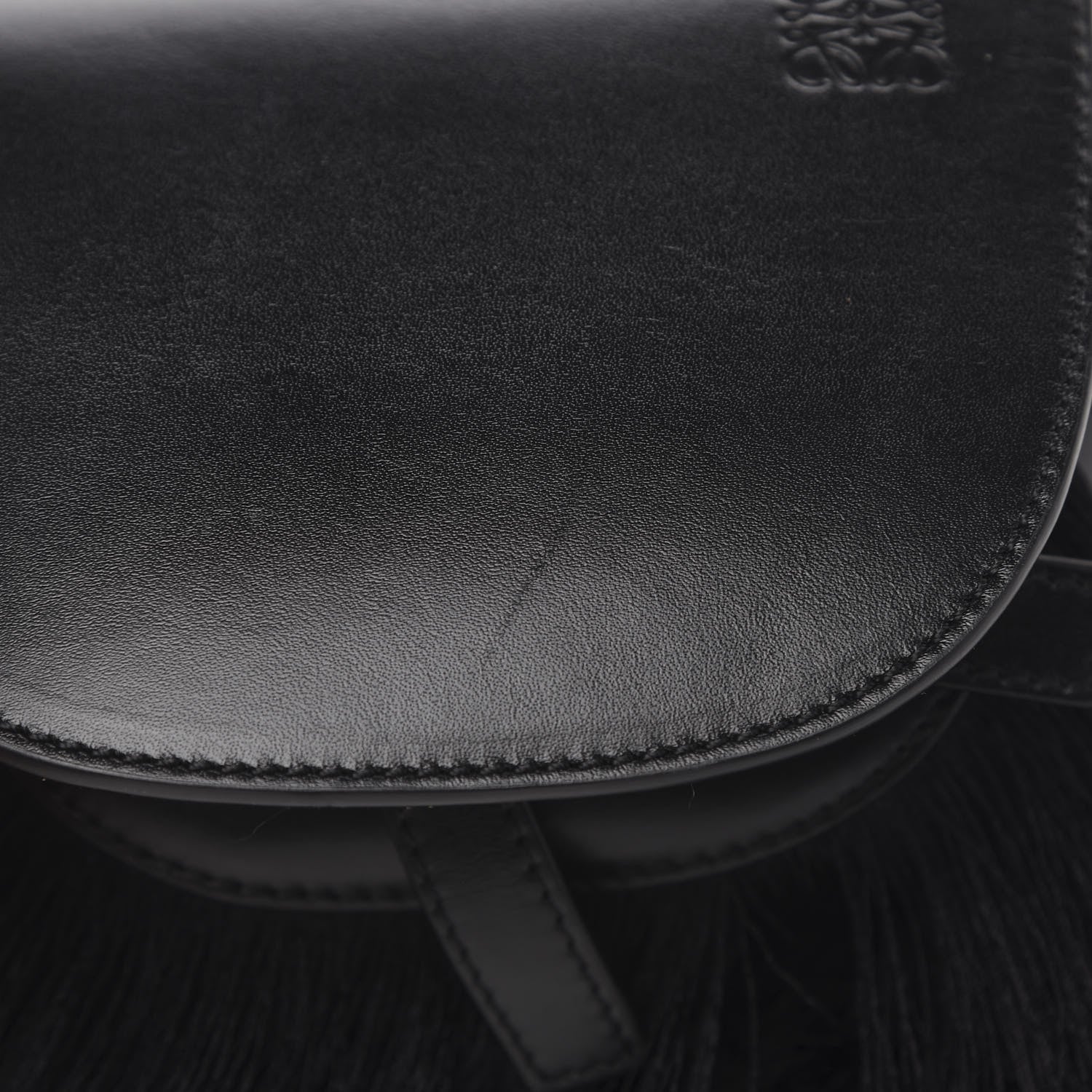 Loewe Calfskin Mini Fringe Gate Crossbody Bag Black 9 of 11