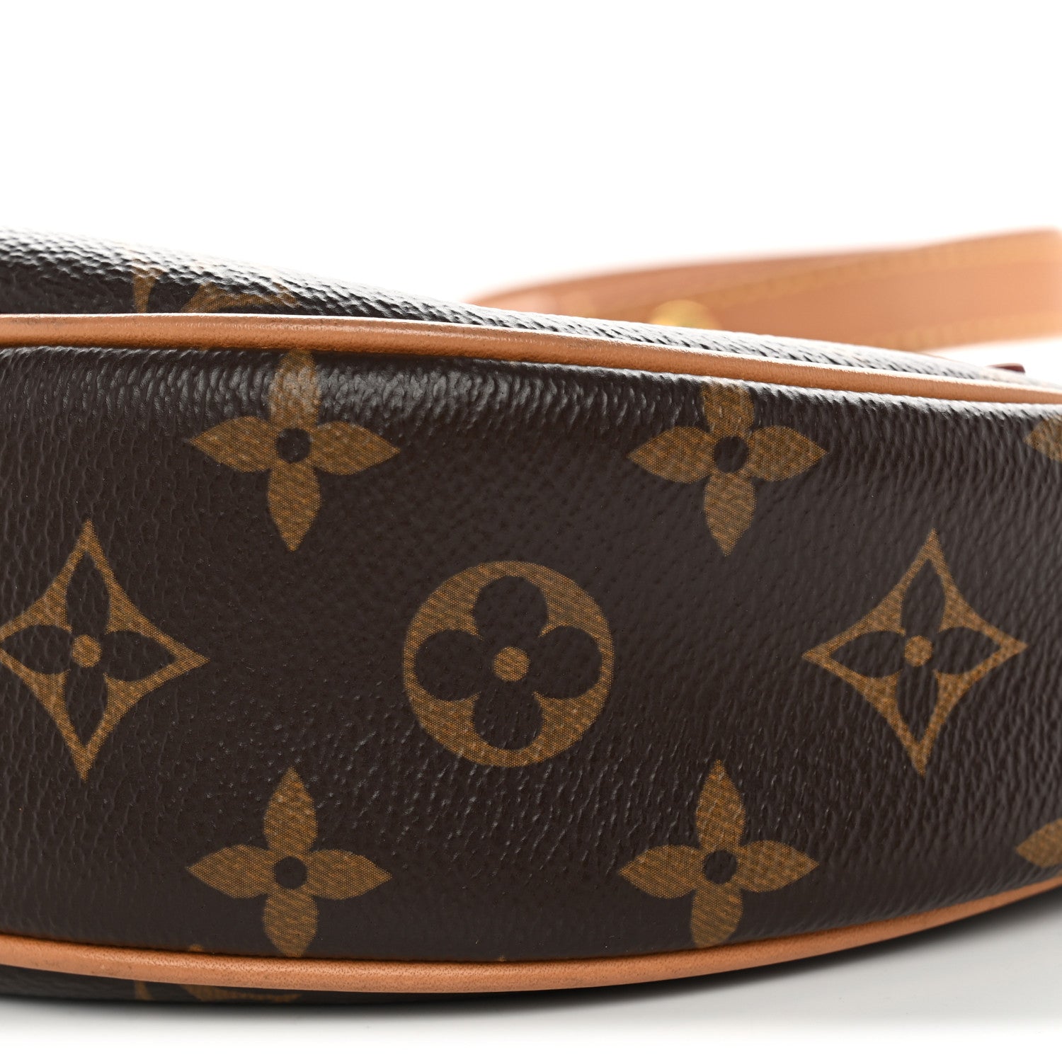 Louis Vuitton Monogram Loop 9 of 9
