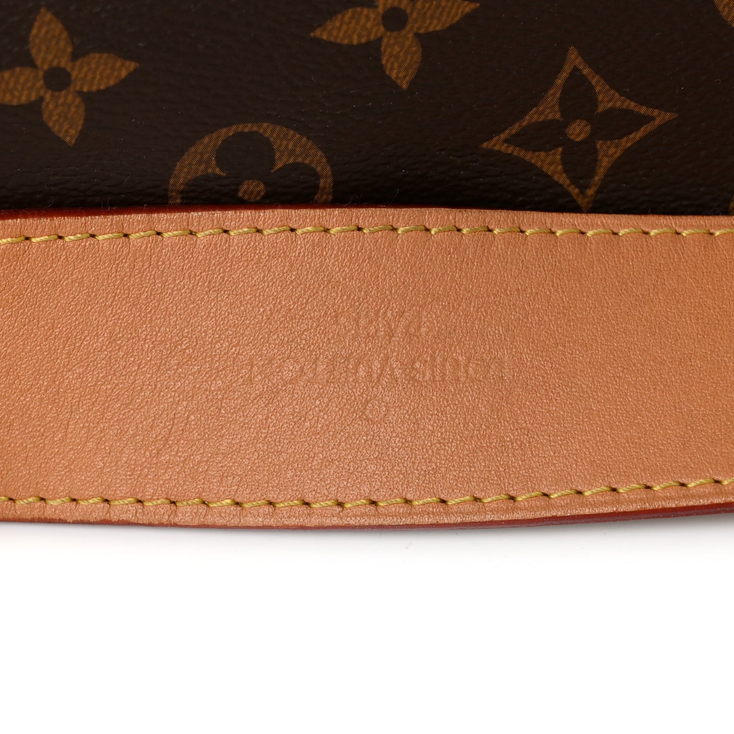 Monogram Carryall MM