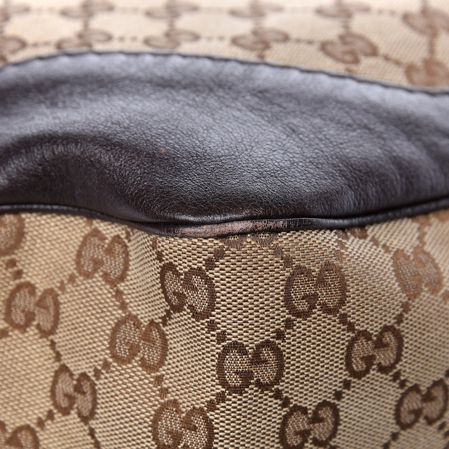 Monogram Medium Charlotte Hobo Brown