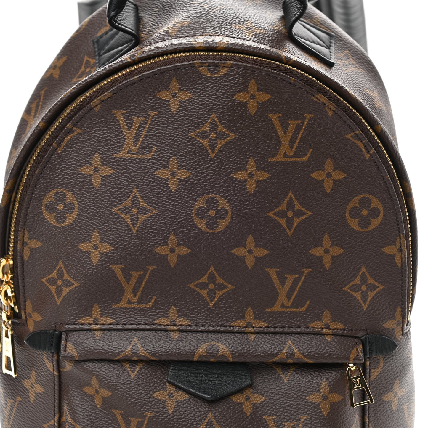 Monogram Palm Springs Backpack PM