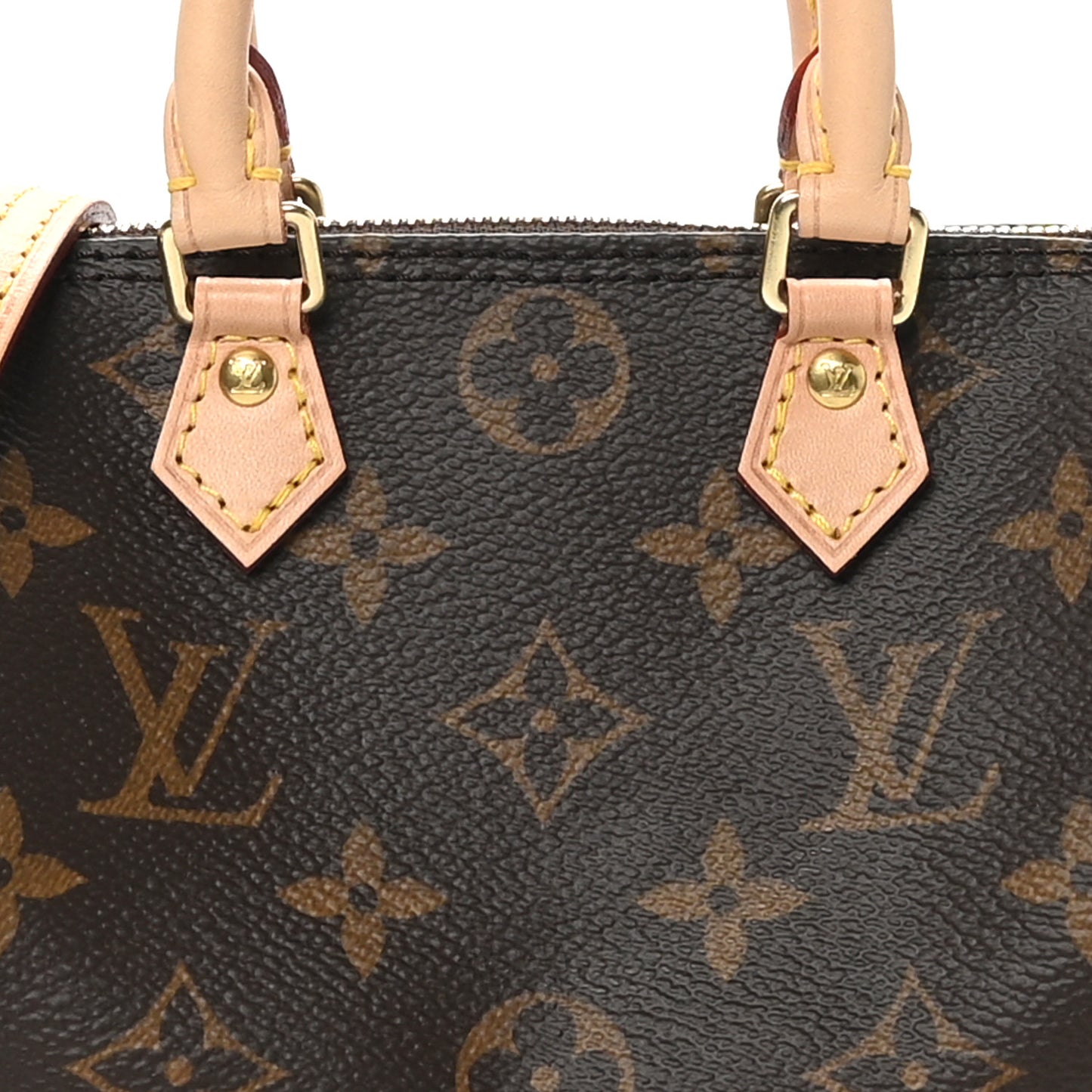 Monogram Nano Speedy