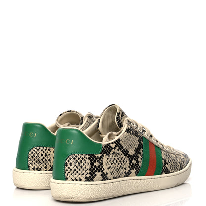 Gucci Calfskin Web Python Print Womens Ace Sneakers 37 Beige Avana New Shamarock 4 of 10