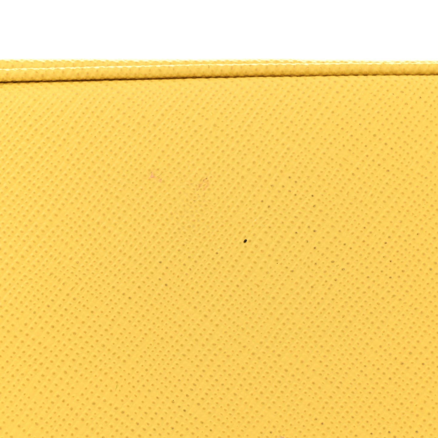 Saffiano Cuir Mini Double Bag Sole